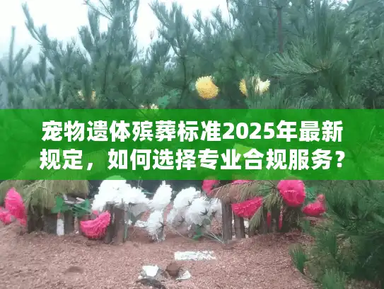 宠物遗体殡葬标准2025年最新规定，如何选择专业合规服务？