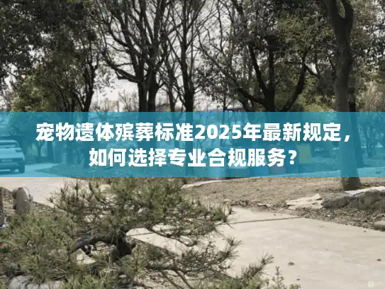 宠物遗体殡葬标准2025年最新规定，如何选择专业合规服务？