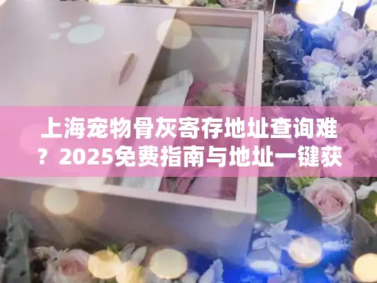 上海宠物骨灰寄存地址查询难？2025免费指南与地址一键获取