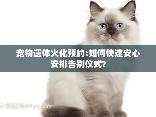 宠物遗体火化预约:如何快速安心安排告别仪式?