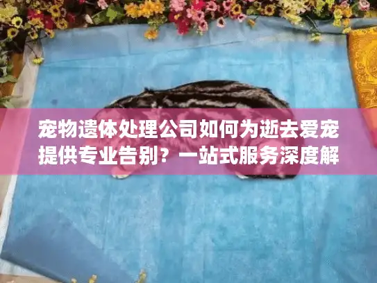 宠物遗体处理公司如何为逝去爱宠提供专业告别？一站式服务深度解析