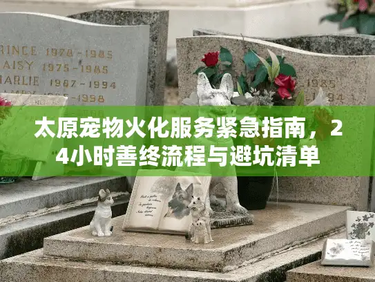 太原宠物火化服务紧急指南，24小时善终流程与避坑清单