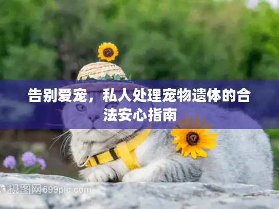 告别爱宠，私人处理宠物遗体的合法安心指南