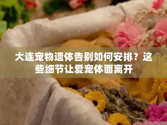 大连宠物遗体告别如何安排？这些细节让爱宠体面离开