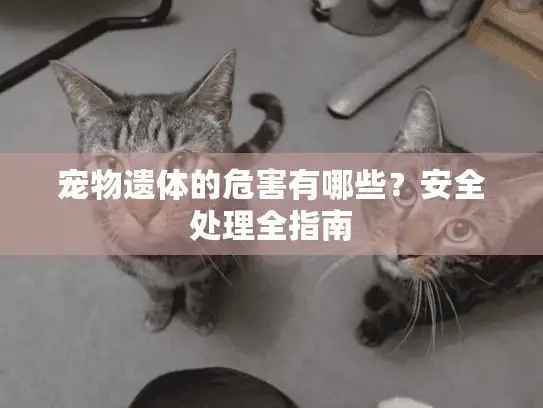 宠物遗体的危害有哪些？安全处理全指南