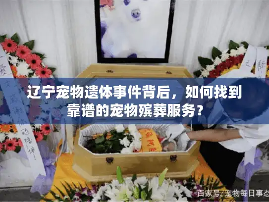 辽宁宠物遗体事件背后，如何找到靠谱的宠物殡葬服务？