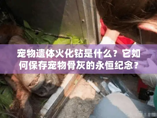 宠物遗体火化钻是什么？它如何保存宠物骨灰的永恒纪念？