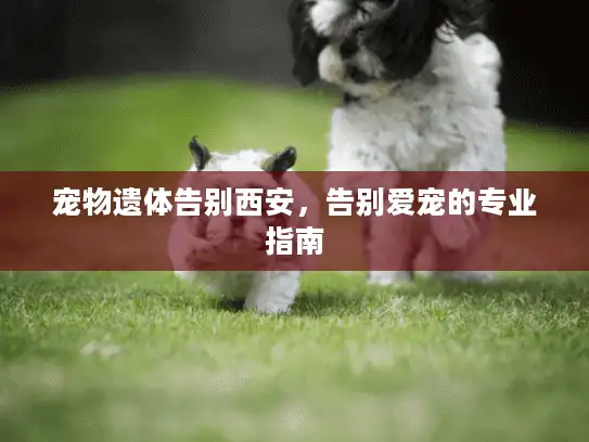 宠物遗体告别西安，告别爱宠的专业指南