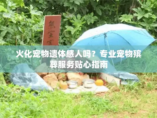 火化宠物遗体感人吗？专业宠物殡葬服务贴心指南