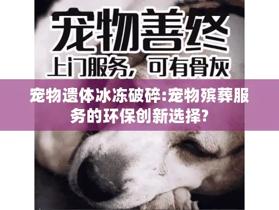 宠物遗体冰冻破碎:宠物殡葬服务的环保创新选择?