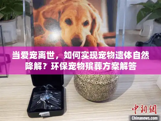 当爱宠离世，如何实现宠物遗体自然降解？环保宠物殡葬方案解答
