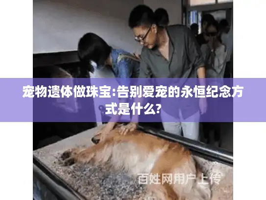 宠物遗体做珠宝:告别爱宠的永恒纪念方式是什么?