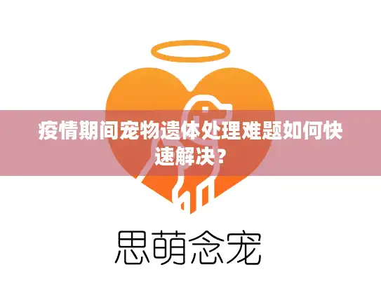 疫情期间宠物遗体处理难题如何快速解决？