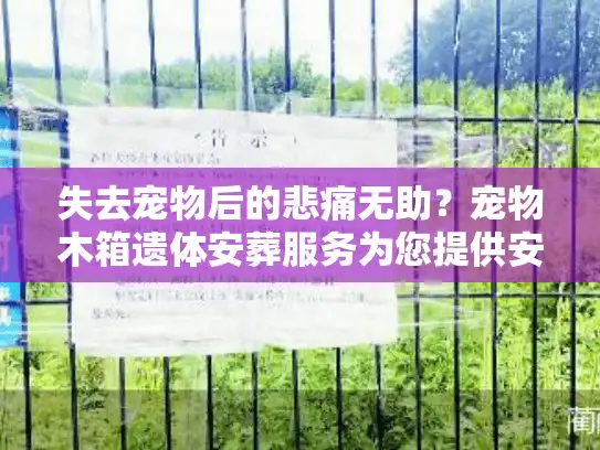 失去宠物后的悲痛无助？宠物木箱遗体安葬服务为您提供安心方案