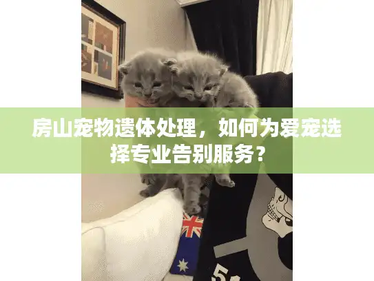 房山宠物遗体处理，如何为爱宠选择专业告别服务？