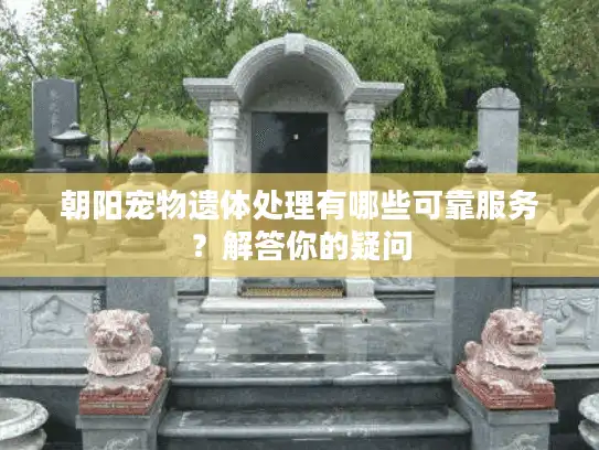 朝阳宠物遗体处理有哪些可靠服务？解答你的疑问
