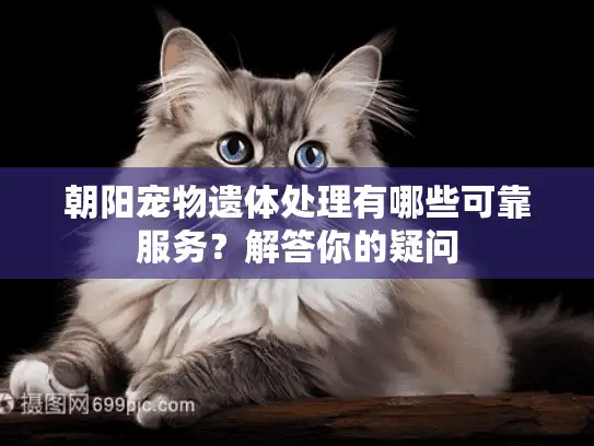 朝阳宠物遗体处理有哪些可靠服务？解答你的疑问