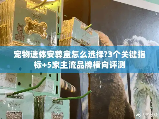 宠物遗体安葬盒怎么选择?3个关键指标+5家主流品牌横向评测