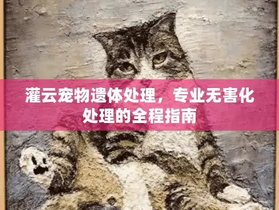 灌云宠物遗体处理，专业无害化处理的全程指南