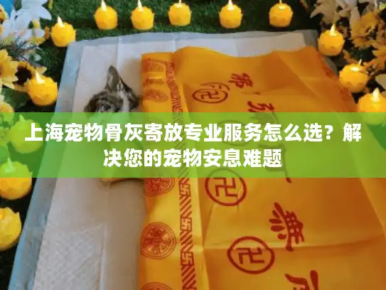 上海宠物骨灰寄放专业服务怎么选？解决您的宠物安息难题