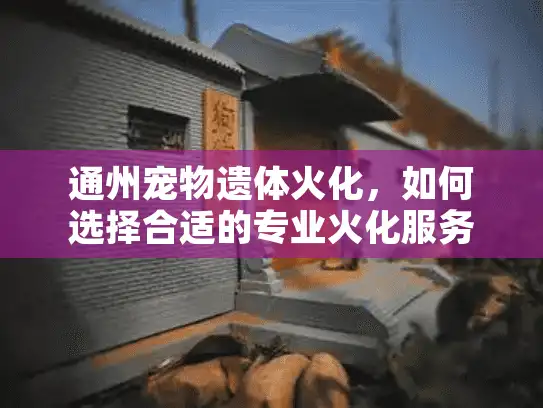 通州宠物遗体火化，如何选择合适的专业火化服务？