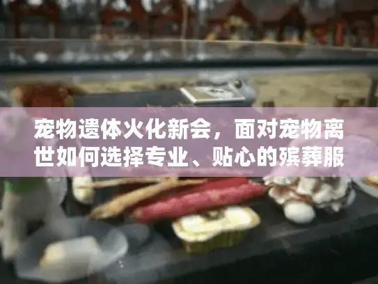 宠物遗体火化新会，面对宠物离世如何选择专业、贴心的殡葬服务