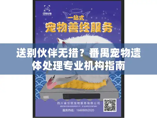 送别伙伴无措？番禺宠物遗体处理专业机构指南
