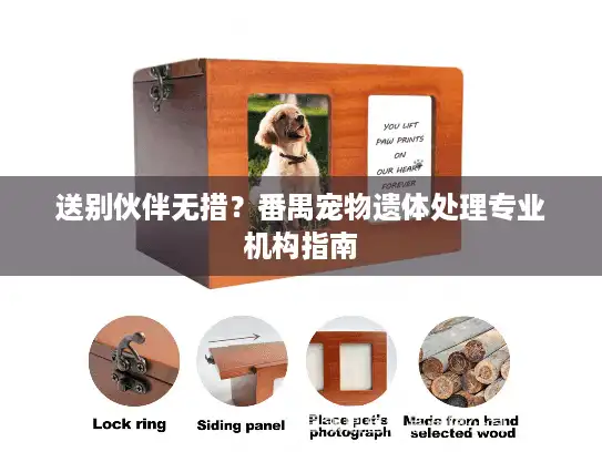 送别伙伴无措？番禺宠物遗体处理专业机构指南