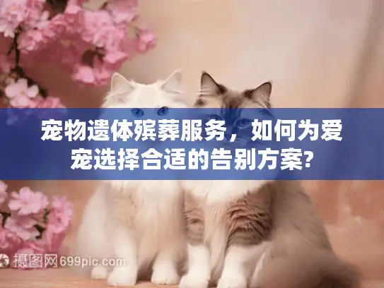 宠物遗体殡葬服务，如何为爱宠选择合适的告别方案?