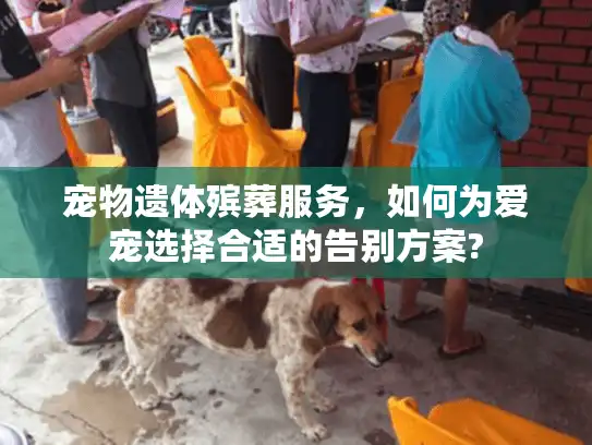 宠物遗体殡葬服务，如何为爱宠选择合适的告别方案?