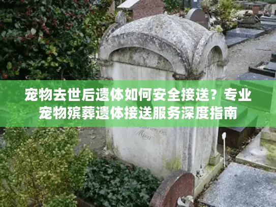宠物去世后遗体如何安全接送？专业宠物殡葬遗体接送服务深度指南