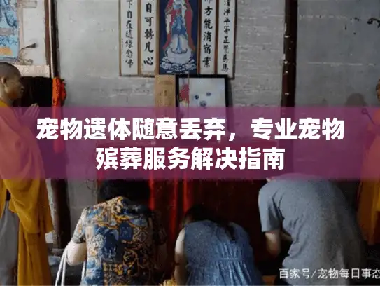 宠物遗体随意丢弃，专业宠物殡葬服务解决指南