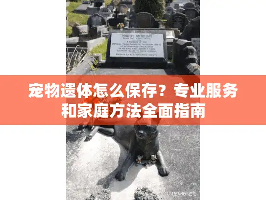宠物遗体怎么保存？专业服务和家庭方法全面指南