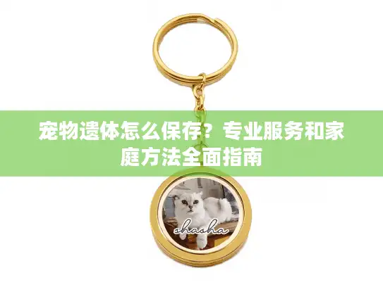 宠物遗体怎么保存？专业服务和家庭方法全面指南