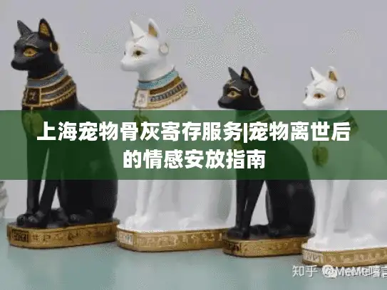上海宠物骨灰寄存服务|宠物离世后的情感安放指南