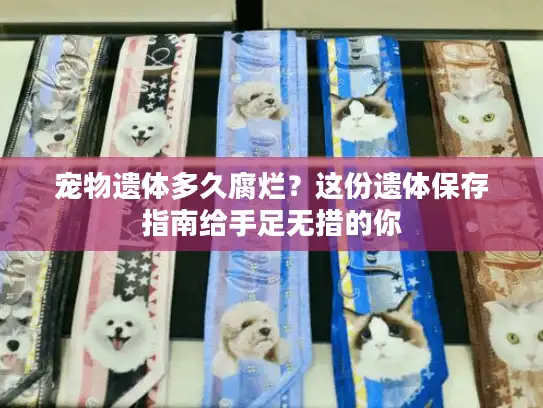 宠物遗体多久腐烂？这份遗体保存指南给手足无措的你