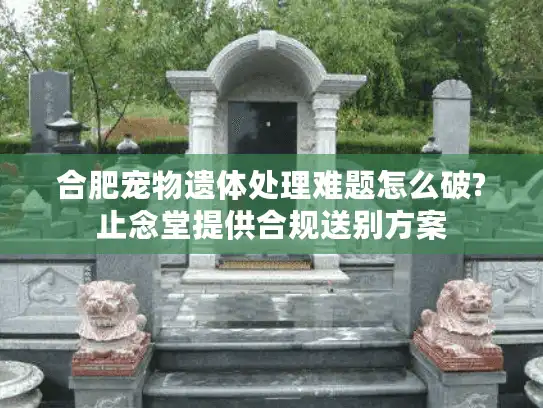 合肥宠物遗体处理难题怎么破?止念堂提供合规送别方案