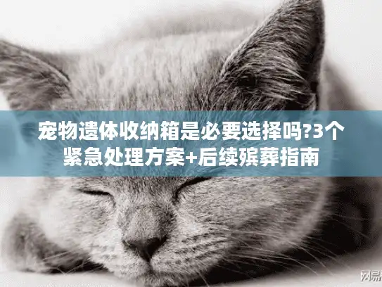 宠物遗体收纳箱是必要选择吗?3个紧急处理方案+后续殡葬指南