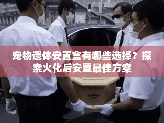 宠物遗体安置盒有哪些选择？探索火化后安置最佳方案