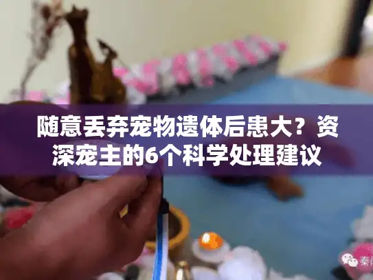 随意丢弃宠物遗体后患大？资深宠主的6个科学处理建议