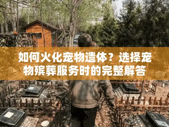 如何火化宠物遗体？选择宠物殡葬服务时的完整解答