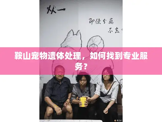 鞍山宠物遗体处理，如何找到专业服务？