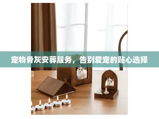 宠物骨灰安葬服务，告别爱宠的贴心选择