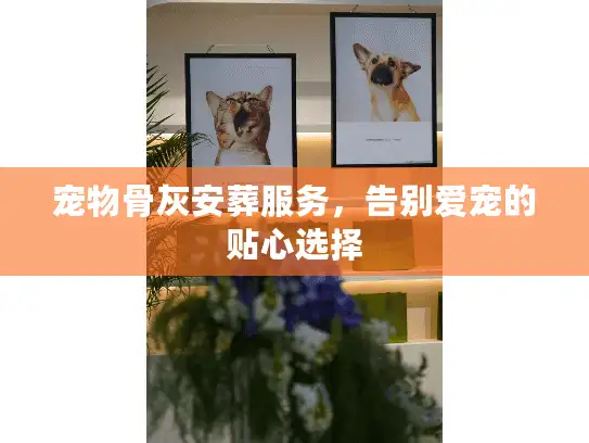 宠物骨灰安葬服务，告别爱宠的贴心选择