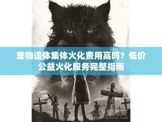 宠物遗体集体火化费用高吗？低价公益火化服务完整指南