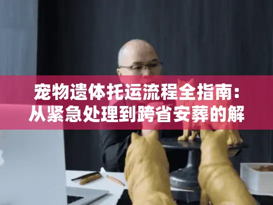 宠物遗体托运流程全指南:从紧急处理到跨省安葬的解决方案