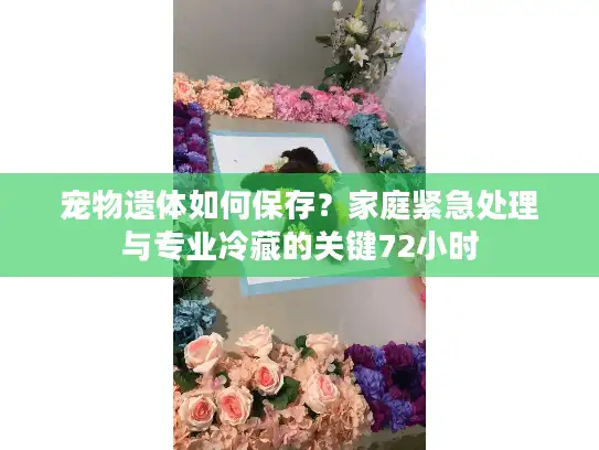 宠物遗体如何保存？家庭紧急处理与专业冷藏的关键72小时