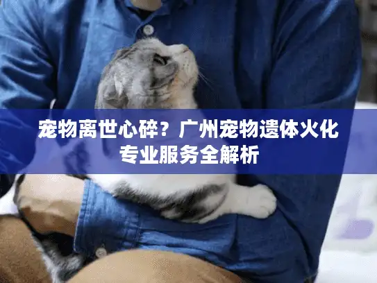 宠物离世心碎？广州宠物遗体火化专业服务全解析