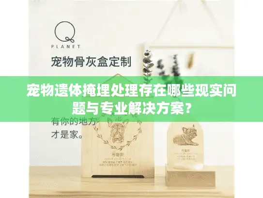 宠物遗体掩埋处理存在哪些现实问题与专业解决方案？
