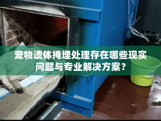 宠物遗体掩埋处理存在哪些现实问题与专业解决方案？